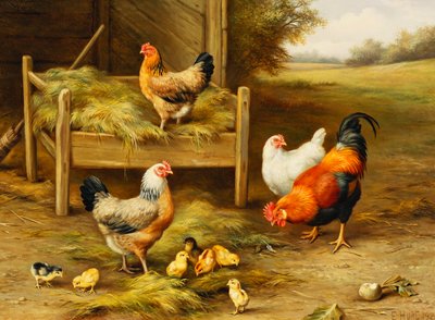 Polli e pulcini che si nutrono da Edgar Hunt