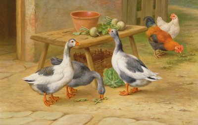 Oche e pollame che si nutrono da Edgar Hunt