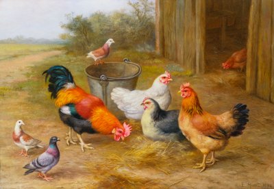 Piccioni e polli da Edgar Hunt