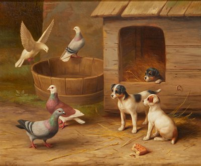 Cuccioli e piccioni da Edgar Hunt