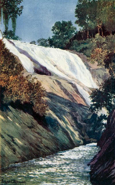 Una cascata a Tijuca, Rio da Edgar L. Pattison
