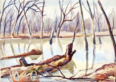Rock Creek, Inverno da Edgar Nye