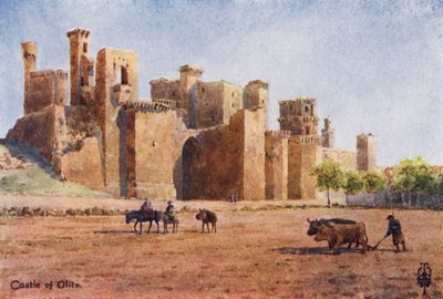 Spagna settentrionale: Olite, il castello da Edgar T. A. Wigram