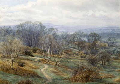 Hampstead Heath verso Harrow on the Hill da Edith Martineau
