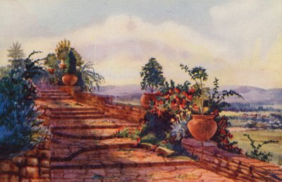 I gradini della Government House, Pretoria da Edith Struben