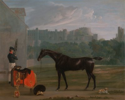 Fuori dalla guardiola a Windsor da Edmund Bristow