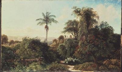Paesaggio cubano da Edmund Darch Lewis