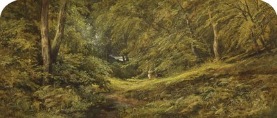 Schizzo - Nel bosco da Edmund G. Muller