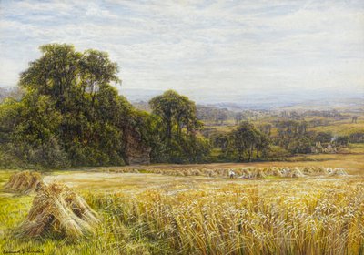 Tempo di raccolto da Edmund George Warren