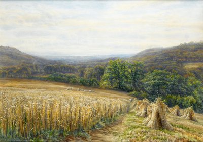 Tempo di raccolta vicino ad Ashburton, 1884 da Edmund George Warren