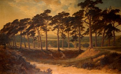 Harrow dal primo, Hampstead Heath, 1875 da Edmund John Niemann