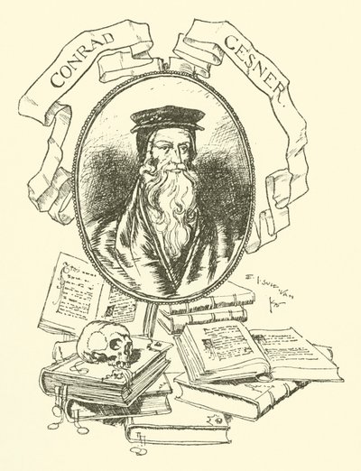 Conrad Gesner da Edmund Joseph after Sullivan