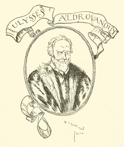 Ulisse Aldrovandi da Edmund Joseph after Sullivan