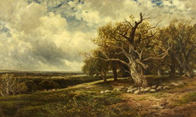 Paesaggio - Attraverso la valle da Edmund Morison Wimperis