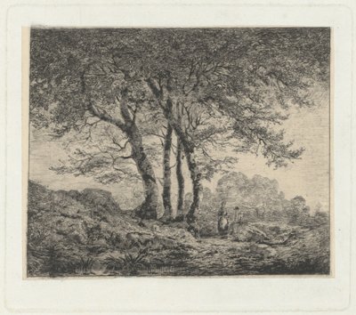 In montagna da Edoardo Perotti