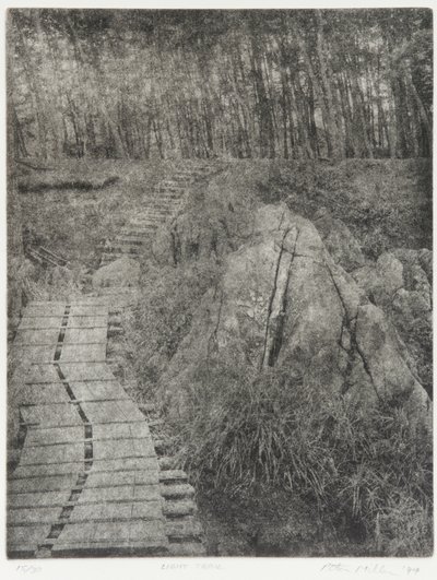Scia di luce, 1994 da Edouard Cremieux