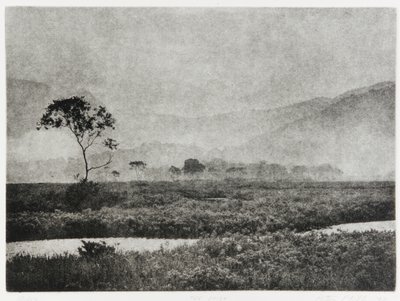 Nebbia a Oze, 1993 da Edouard Cremieux