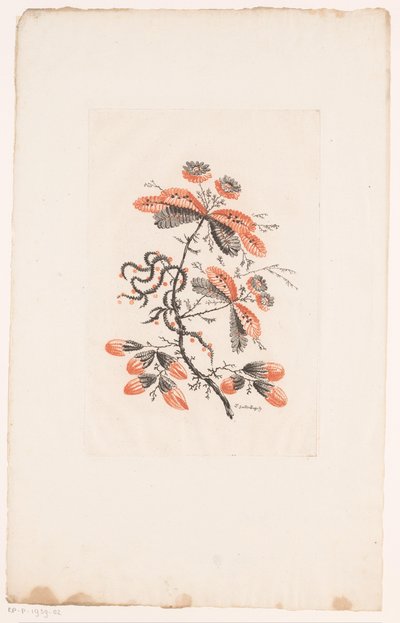Fiori e boccioli (Fleurs Idéalle) da Edouard Gautier Dagoty