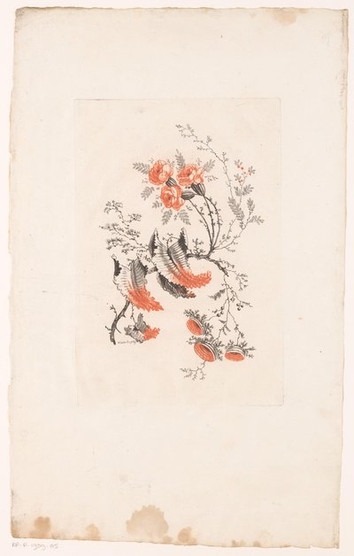 Fiori fantastici (Fleurs Idéales) da Edouard Gautier Dagoty