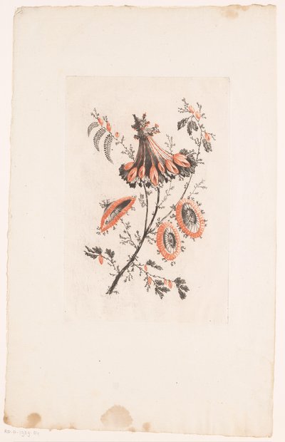 Fiori a forma di parasole da Edouard Gautier Dagoty