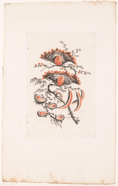 Fiori a ventaglio da Edouard Gautier Dagoty