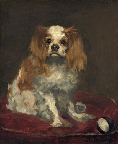 Un Cavalier King Charles Spaniel, c.1866 da Édouard Manet