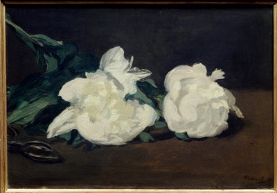 Ramo di peonie bianche e cesoie da Édouard Manet