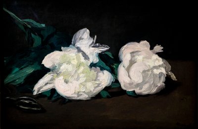 Ramo di peonie bianche e cesoie da Édouard Manet