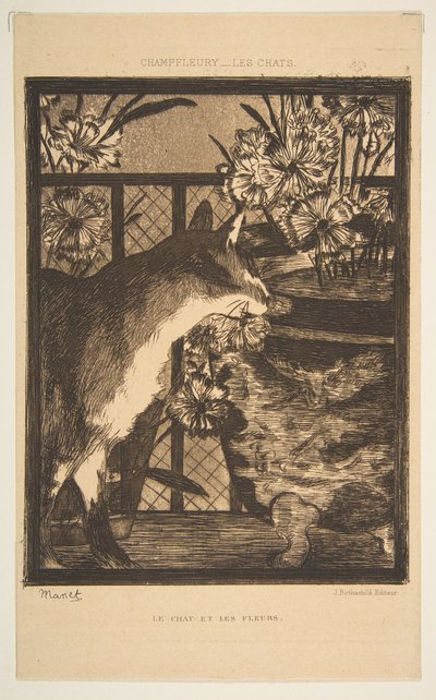 Gatto e fiori. Illustrazione per I gatti di Champfleury, 1869 da Édouard Manet