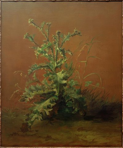 Il cardo da Édouard Manet