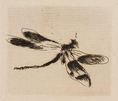 Libellula, piatto 1 da Le Fleuve da Édouard Manet