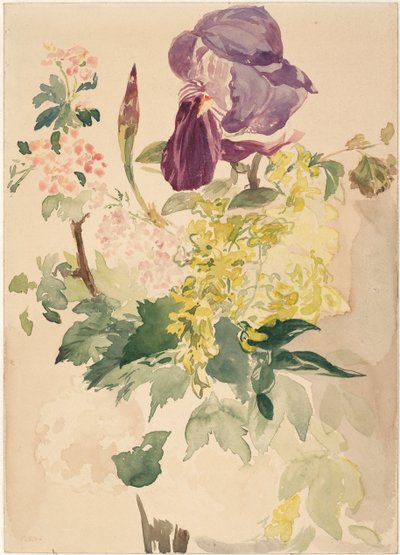 Composizione floreale con iris, laburno e geranio, 1880 da Édouard Manet