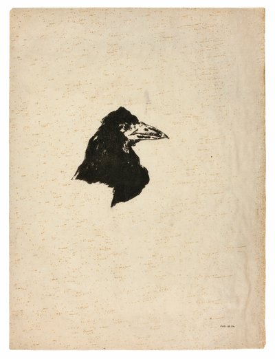 Testa di un corvo in profilo, da Il Corvo (Le Corbeau) da Édouard Manet
