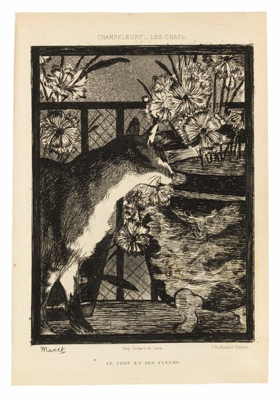 Gatti da Édouard Manet