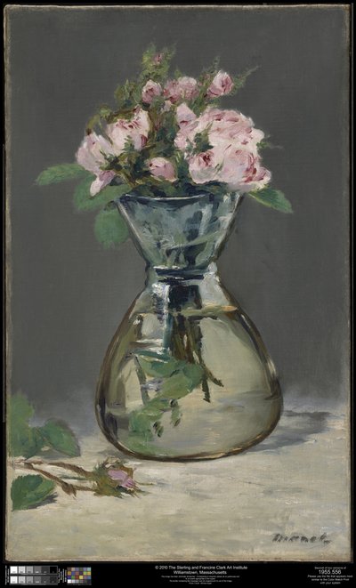 Rose muschiose in un vaso da Édouard Manet