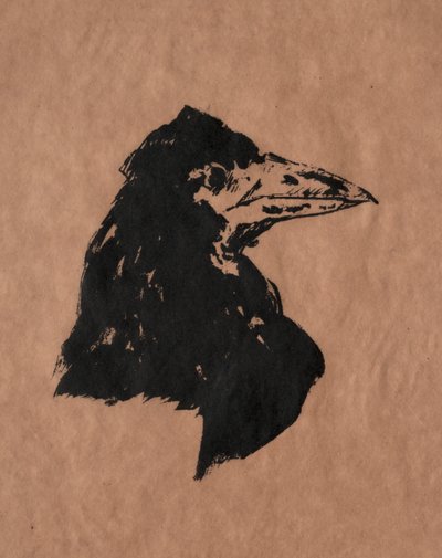 Testa di corvo da Édouard Manet