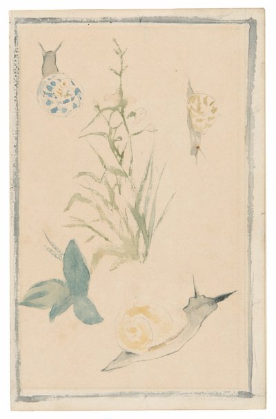 Schizzi di lumache, piante in fiore da Édouard Manet
