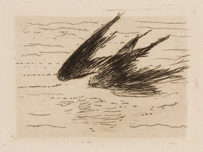 Rondini, piatto 8 da Le Fleuve da Édouard Manet