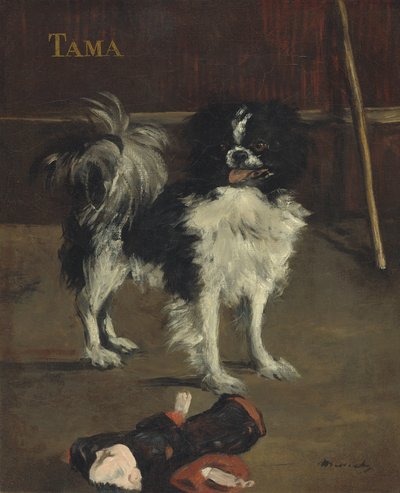 Tama, il cane giapponese, c.1875 da Édouard Manet