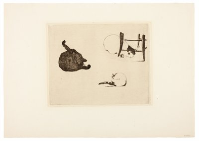 I gatti da Édouard Manet