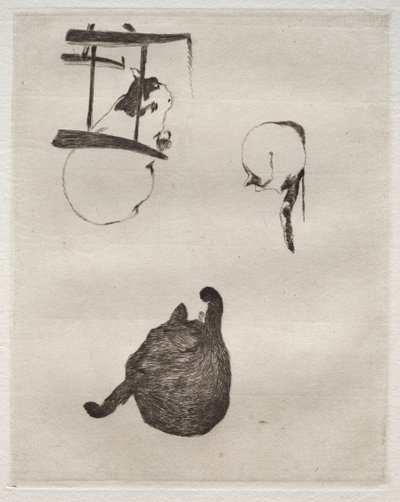 I gatti, 1868-1869 da Édouard Manet