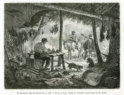 Un laboratorio di tassidermia nella foresta vergine, nella regione dei Llanos (Colombia), disegno di Riou, per illustrare la storia dell