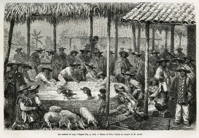 Combattimento di galli e animazione di strada a Ibague (Colombia), disegno di Riou, per illustrare la storia dell