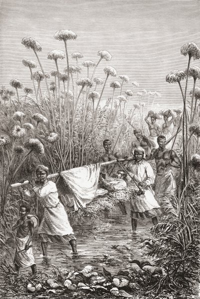 Il dottor David Livingstone trasportato negli ultimi chilometri fino al villaggio di Tchitammbo, Africa, poco prima della sua morte, illustrazione da "Il mondo nelle mani", inciso da Henri Theophile Hildibrand da Edouard Riou