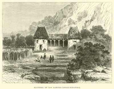 Hacienda di Los Camotes, Patate dolci da Edouard Riou