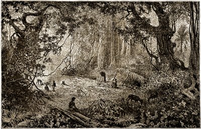 Installazione di un campo di esploratori in Guatemala (1882) da Edouard Riou