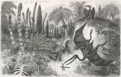 Paesaggio del periodo Liasico. Illustrazione che raffigura un Pterodattilo da Edouard Riou