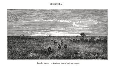 Los Llanos, Venezuela, XIX secolo da Edouard Riou