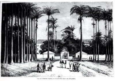 Place des Palmistes, Cayenne, Guyana da Edouard Riou