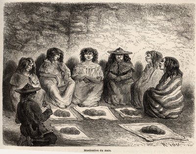 La masticazione del gunapo, ma germina, per la fabbricazione della chicha a Comtapata, patrimonio della tecnica di fermentazione degli antichi indiani Aymara dell